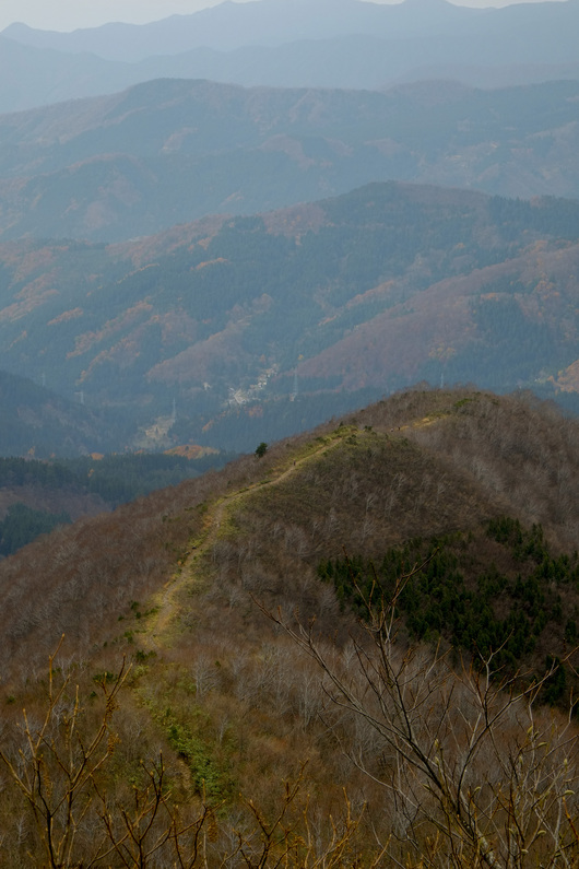 取立山-ハイテンションハイキング-_b0208494_222992.jpg