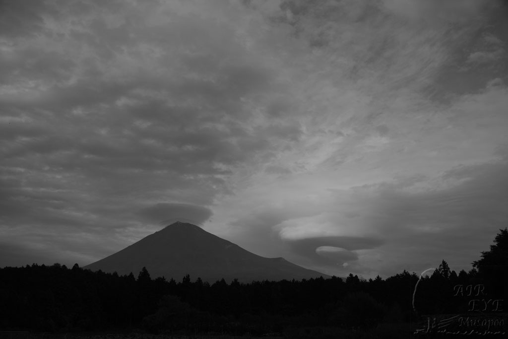 雲行きが怪しかった日_b0064396_17260143.jpg