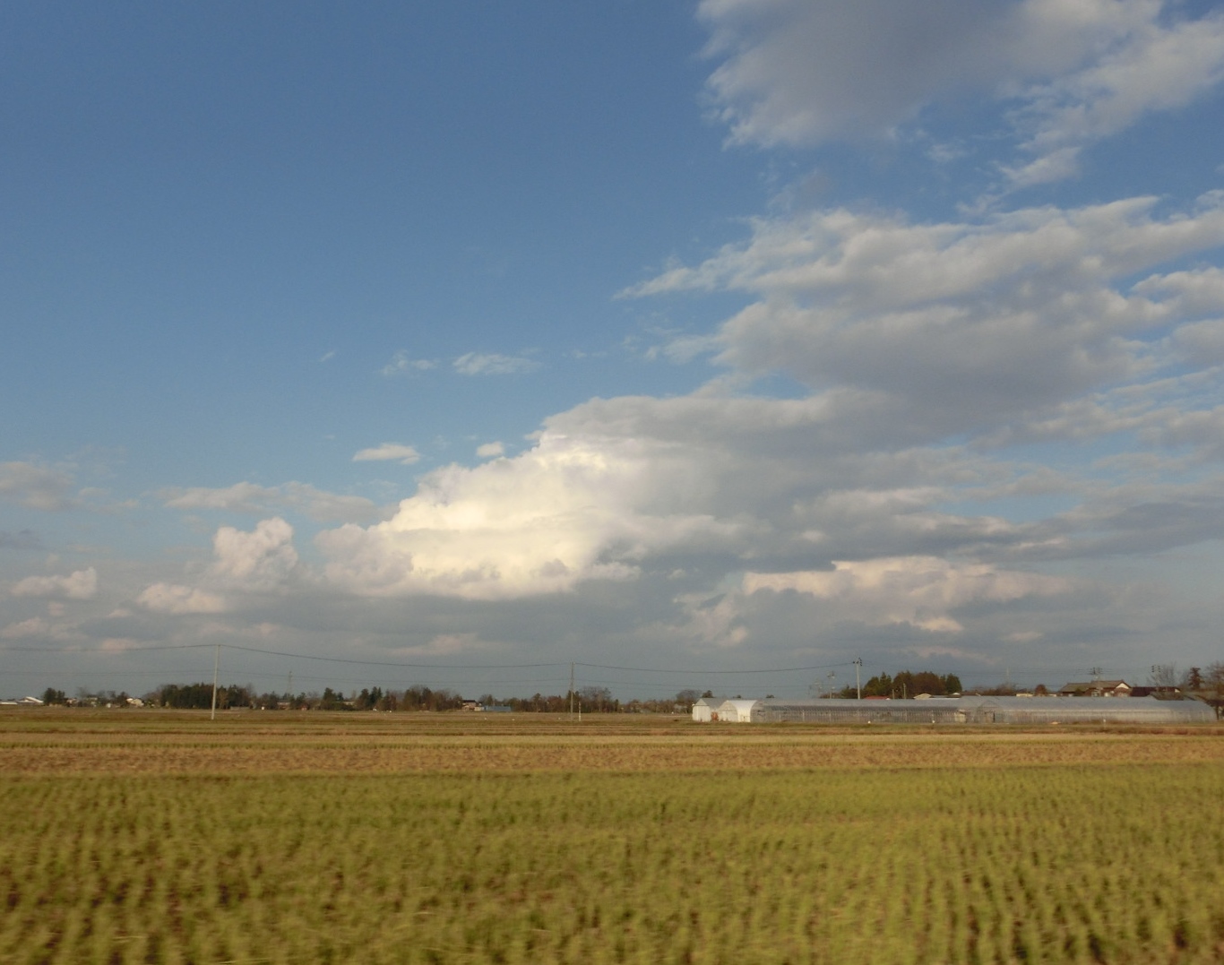 貴重な晴れに葱を抜く・ほか_a0203003_18244131.jpg