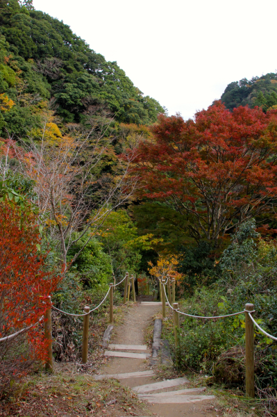 四方木紅葉巡り①〜四方木不動滝_b0340208_17315228.jpg