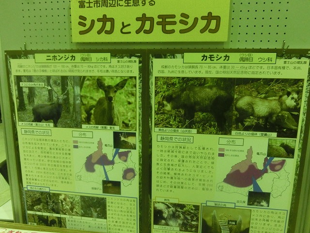 「富士市の公害克服史コーナー」も 第9回 富士市環境フェア_f0141310_763928.jpg