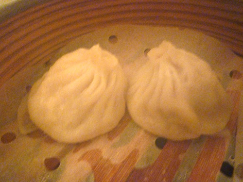 d0341811_20221583.jpg