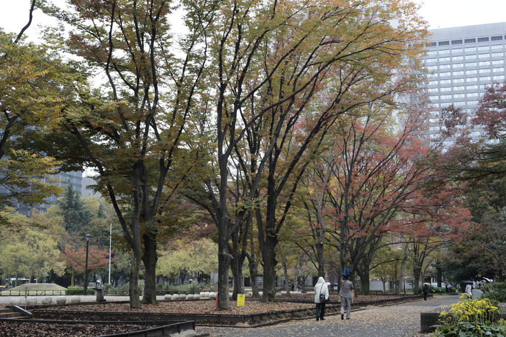 d0011713_15344179.jpg