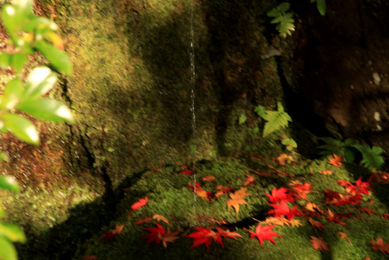 紅葉だより45 護法弁財天_e0048413_1750149.jpg