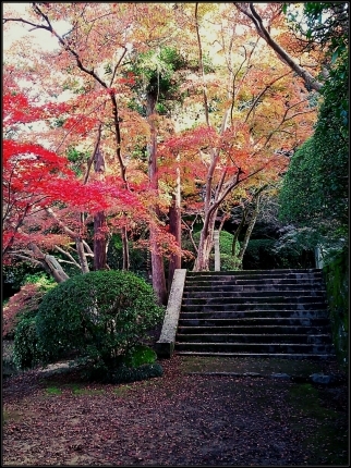 「長岳寺」今年の紅葉は…_d0277422_22112697.jpg