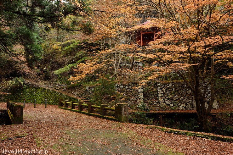 蓬莱山神社 ～紅葉～_d0319222_92421.jpg