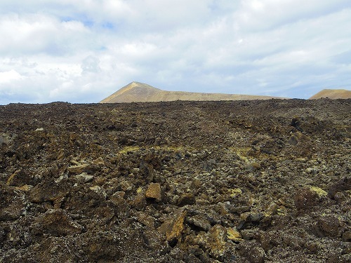 2015夏　カナリア諸島の旅6　～火山の島ランサローテをぐるりと観光_b0312126_22063060.jpg