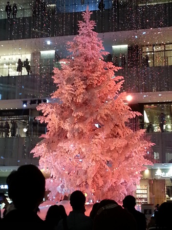 c0109726_13524512.jpg