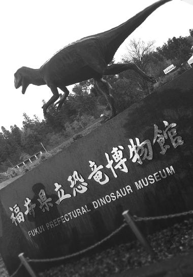e0112226_1961853.jpg