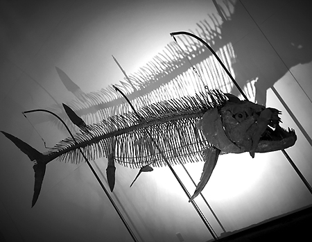 e0112226_20161688.jpg