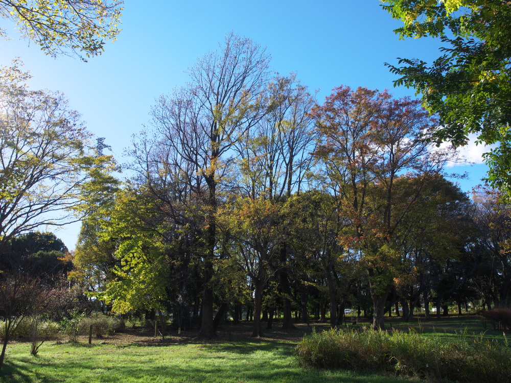 c0109827_18165945.jpg
