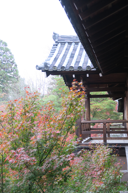 紅葉の京都15 東福寺 早朝特別拝観 前編 memory of kyotolife 紅葉の京都15 東福寺 早朝特別拝観 前編 memory of kyotolife