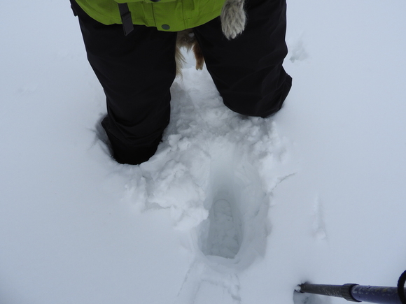 f0118332_22503555.jpg