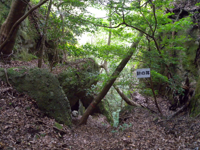 津波戸山＆天念寺耶馬_e0272335_83559.jpg