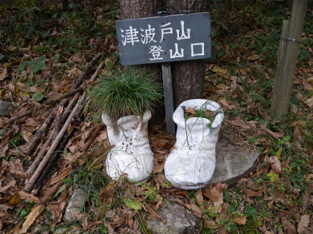 津波戸山＆天念寺耶馬_e0272335_84376.jpg