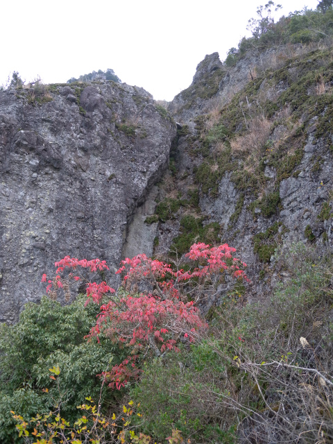 津波戸山＆天念寺耶馬_e0272335_8645.jpg