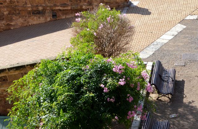 e0098241_944760.jpg