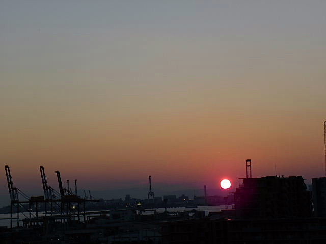 ジョウビタキ♀、カルガモ、マガモ、カメ、ホシハジロ、バン、夕日_c0051143_23544143.jpg