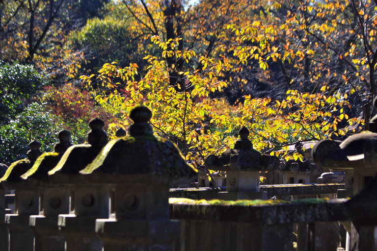 平林寺_d0029744_12343645.jpg