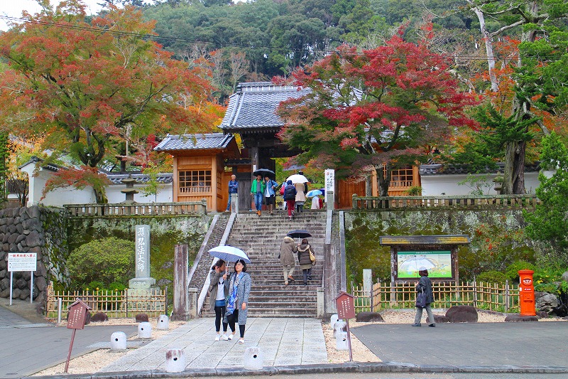 伊豆『修善寺』は雨が降っておりました。20151120_e0237645_16341126.jpg