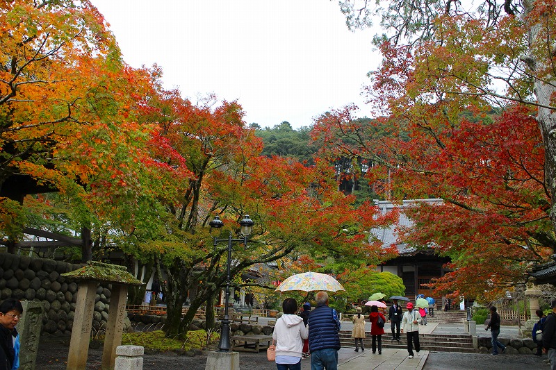 伊豆『修善寺』は雨が降っておりました。20151120_e0237645_16342666.jpg
