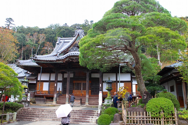 伊豆『修善寺』は雨が降っておりました。20151120_e0237645_1635084.jpg