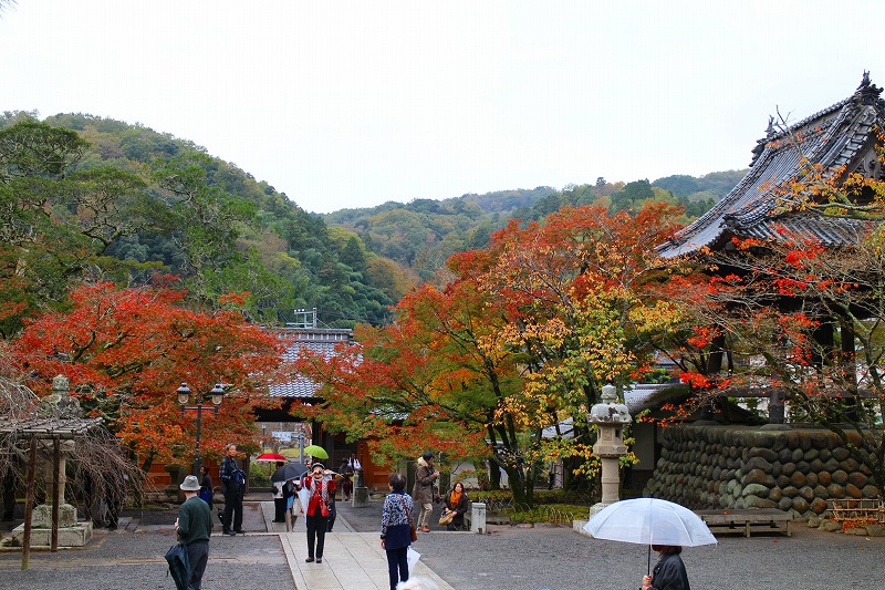 伊豆『修善寺』は雨が降っておりました。20151120_e0237645_16352997.jpg