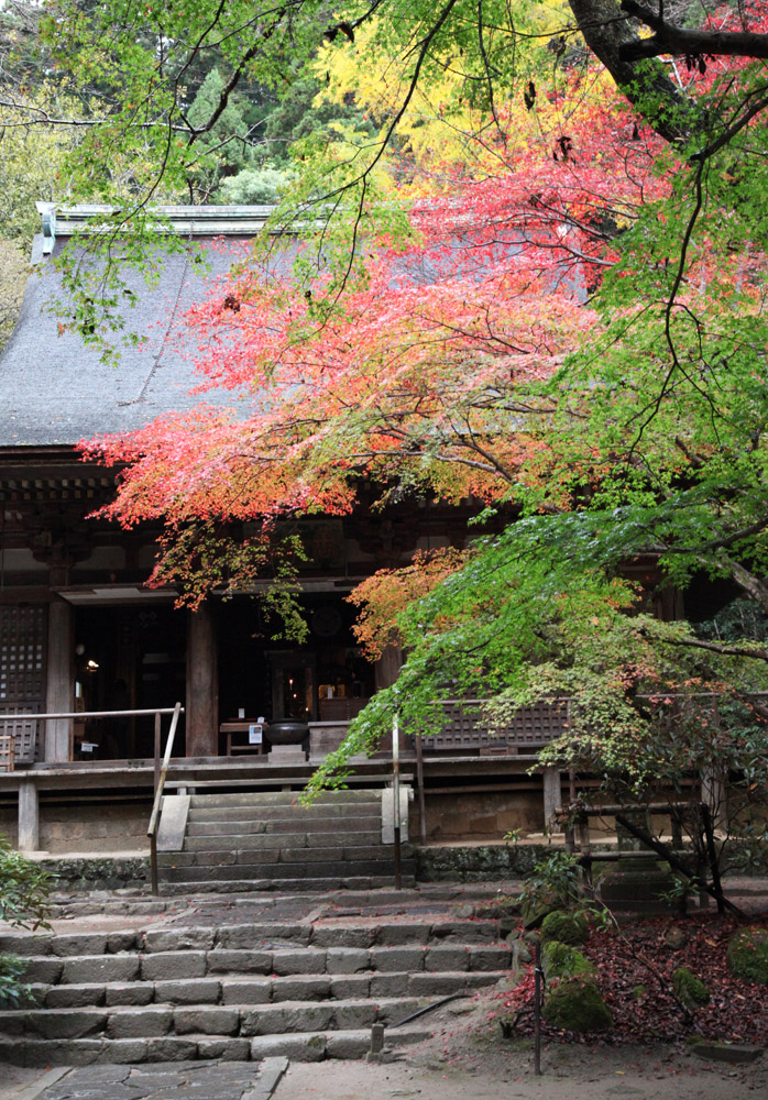 宇陀市 室生寺 紅葉 ２ 魅せられて大和路