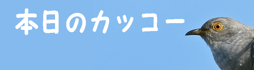 b0169850_1884284.gif