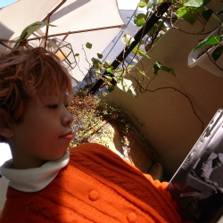 c0146053_13435116.jpg