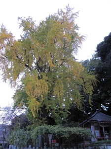 e0090555_13495953.jpg