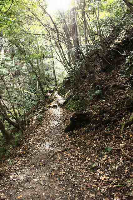 １１月１６日　鰐淵寺_f0340155_12214854.jpg