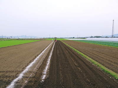 有機栽培の水田ごぼう ごぼうの種まきに向けて耕運作業_a0254656_1718051.jpg