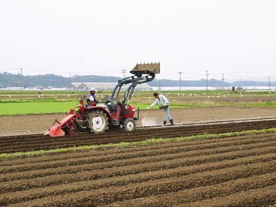 有機栽培の水田ごぼう　ごぼうの種まきに向けて耕運作業_a0254656_1720356.jpg