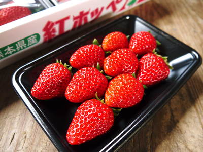 有機栽培の水田ごぼう ごぼうの種まきに向けて耕運作業_a0254656_1751241.jpg