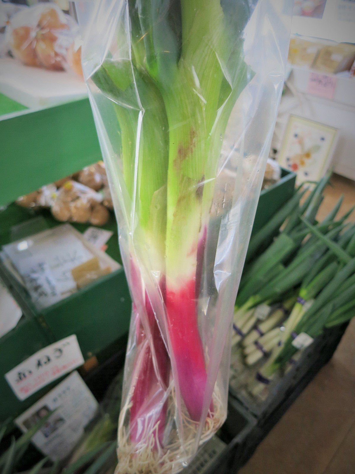 直売所*浅間のかおり 新鮮野菜・果物がお安い!!_f0236260_183437.jpg