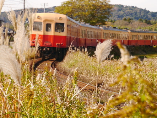 e0356667_14051816.jpg