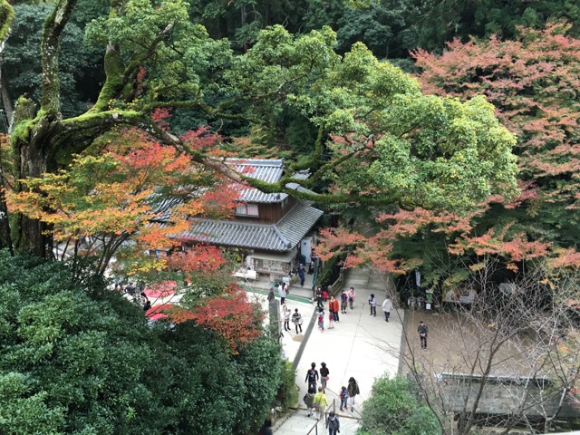 e0145589_2346090.jpg
