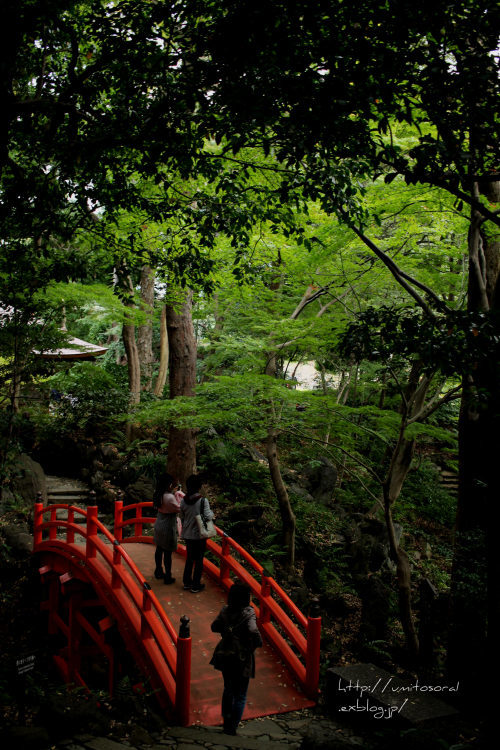 小石川後楽園の秋_b0324291_09462112.jpg