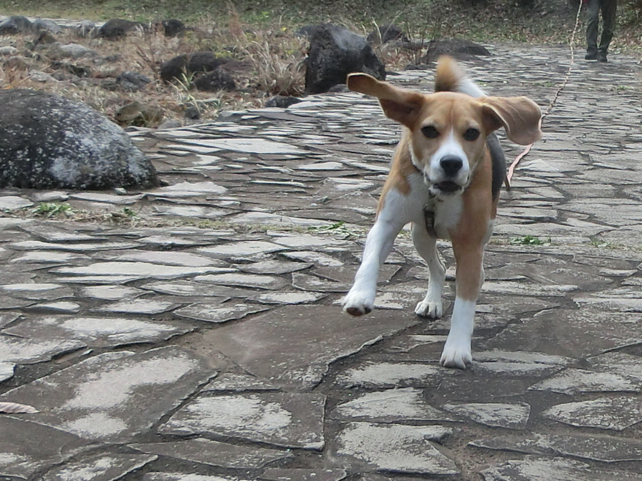 a0319693_8422953.jpg