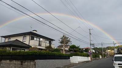 a0244794_86346.jpg
