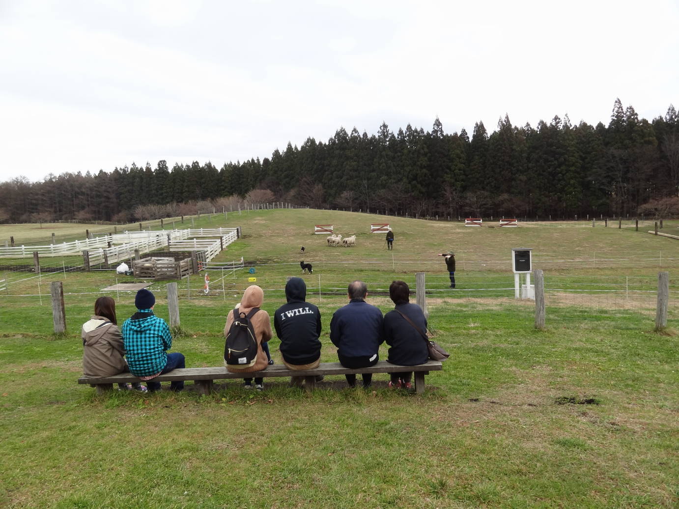 岩手・秋田の落葉の旅　その１_f0075595_01304433.jpg