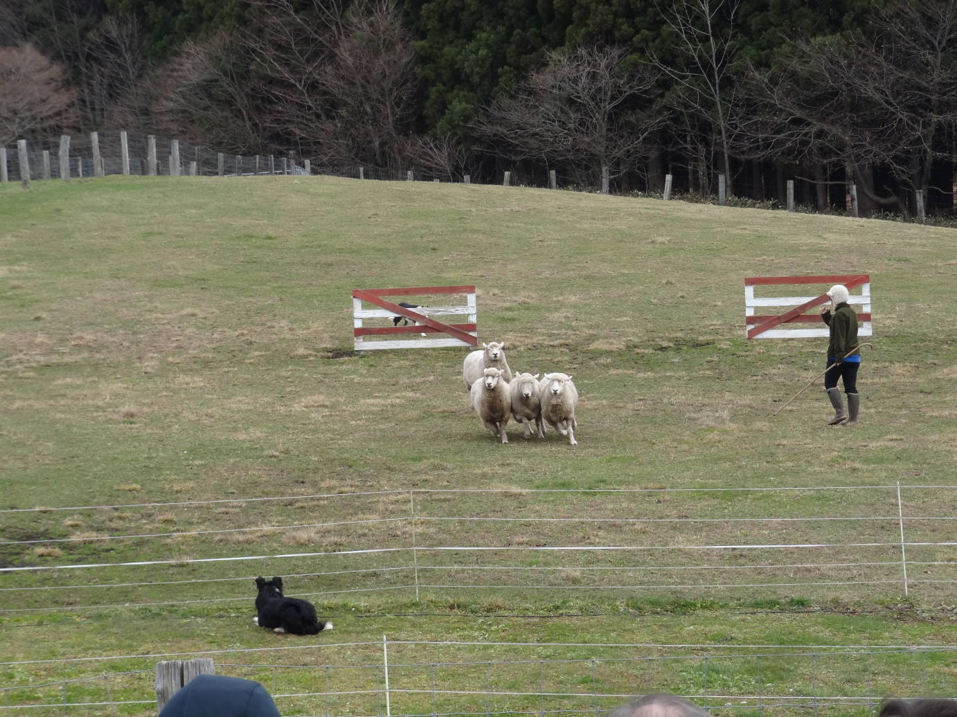 岩手・秋田の落葉の旅　その１_f0075595_01312972.jpg