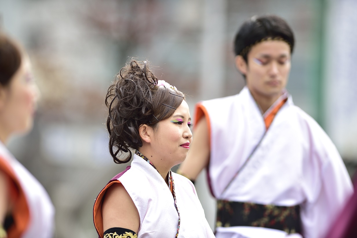 四日市よさこい_f0184198_1457145.jpg