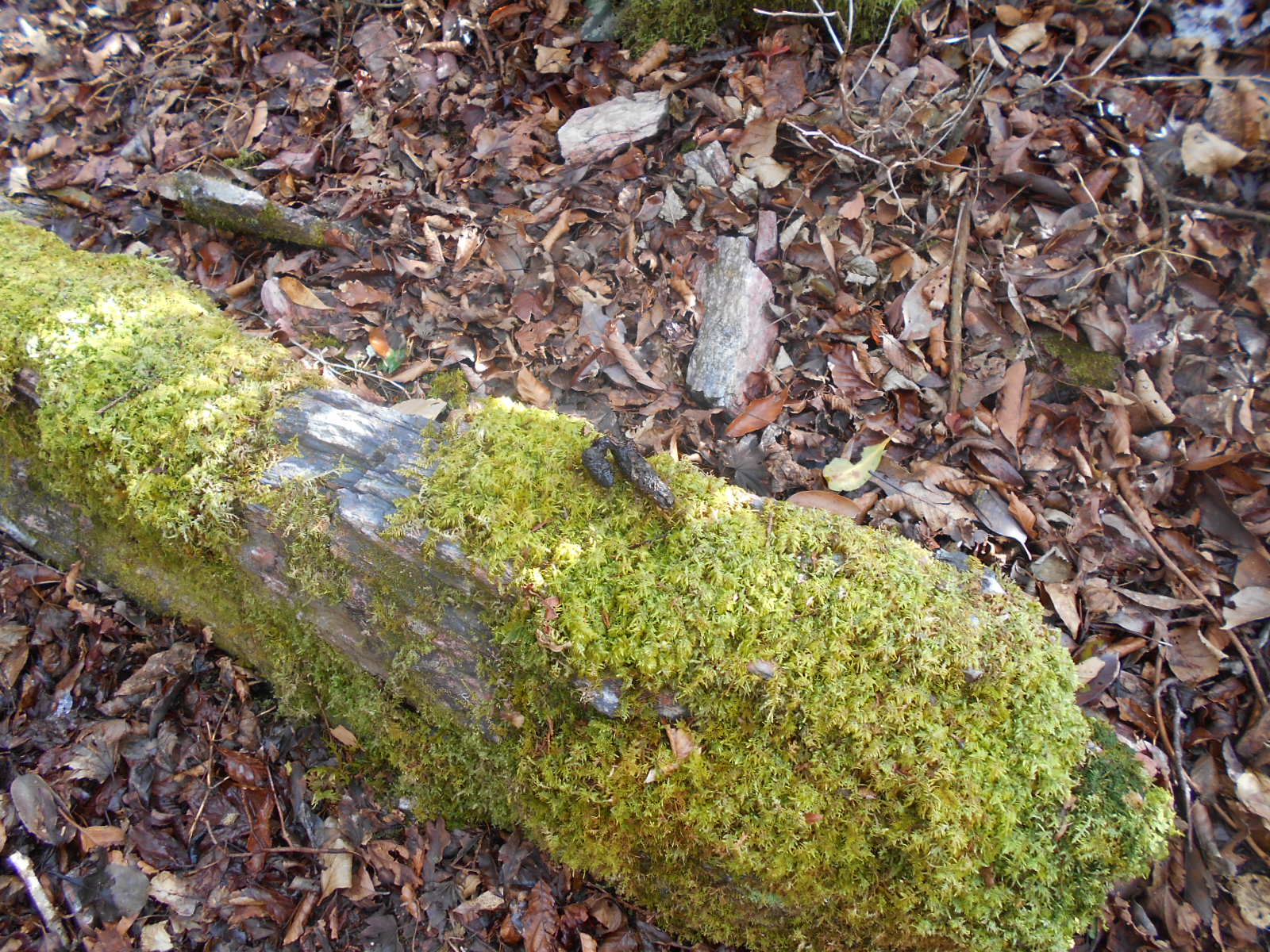f0308898_13304634.jpg