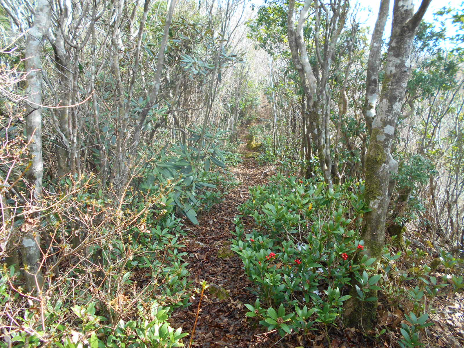 f0308898_1330556.jpg