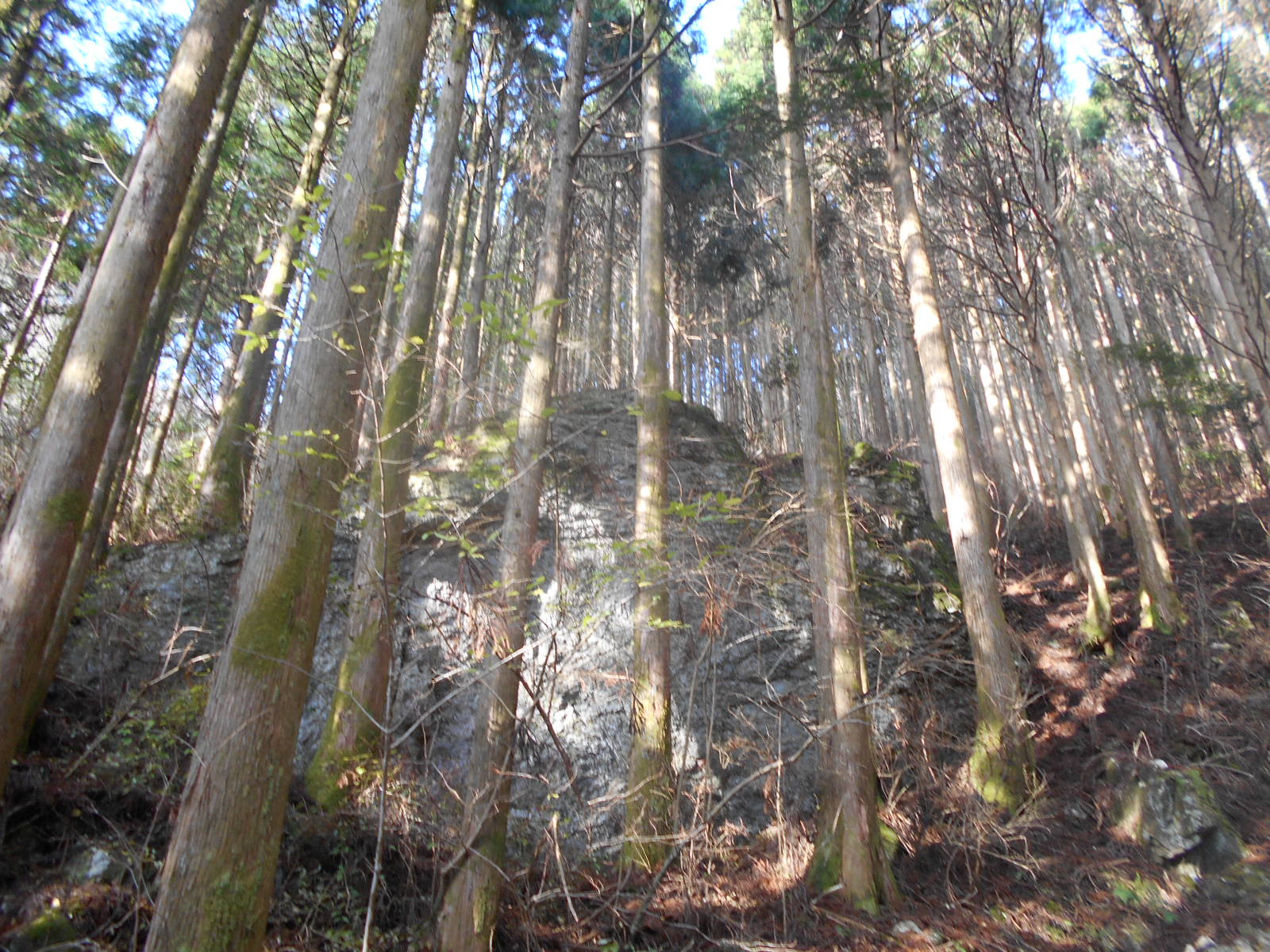 f0308898_8243025.jpg