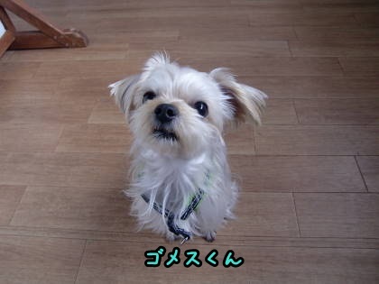 a0338800_09302470.jpg