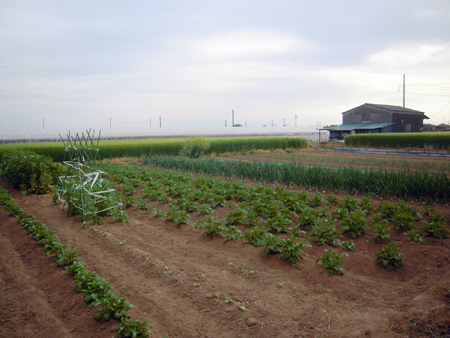 c0148401_955329.jpg
