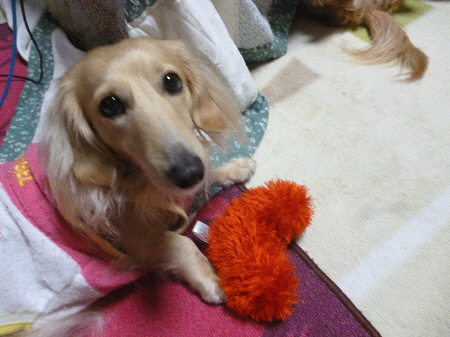f0178701_10525981.jpg